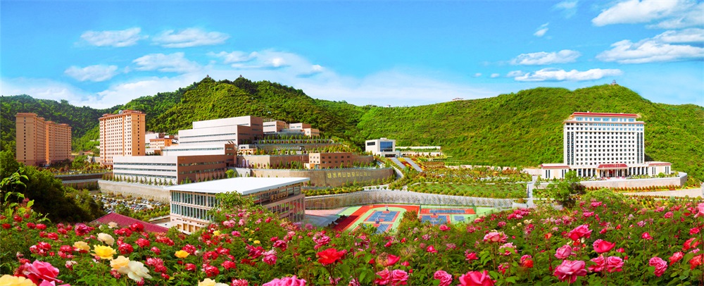 三季有花、四季常青的金徽礦區(qū)-p2.jpg