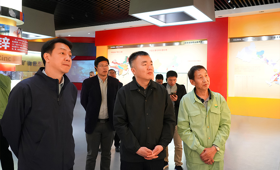 10.4-2024年04月，自然資源部礦保司副司長(zhǎng)王博蒞臨公司調(diào)研。.jpg