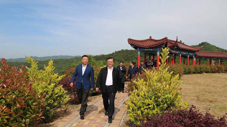 省人民檢察院黨組書記、檢察長朱玉調(diào)研金徽股份